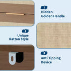 Cassettiera a 5 cassetti in rattan per camera da letto, Comò grande in legno per vestiti, Organizzatore comodino per corridoio, soggiorno